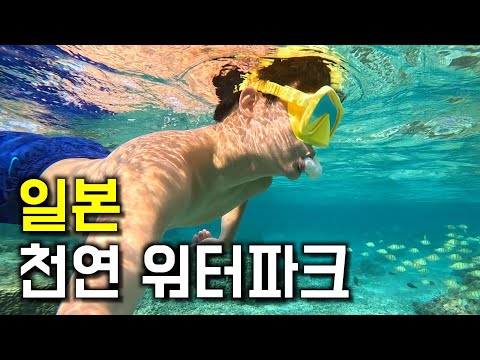 개인은 갈 수 없는, 일본 최대 산호초지대에서의 하루 - 세계여행 [일본 2]