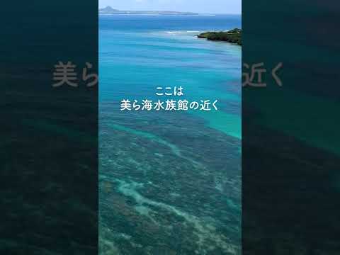 美ら海水族館の近く。やっぱりこの青色が最高 #ドローン #沖縄 #海 #shorts