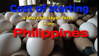 Starting a low cost layer poultry farm in 2023, Philippines