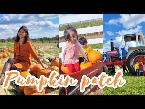 Pumpkin Patch | Kids Day Out | Hanover Vegetable Farm