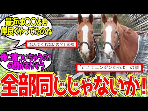 色んな表情を見せるプスカくん…に対するみんなの反応！【競馬 の反応集】