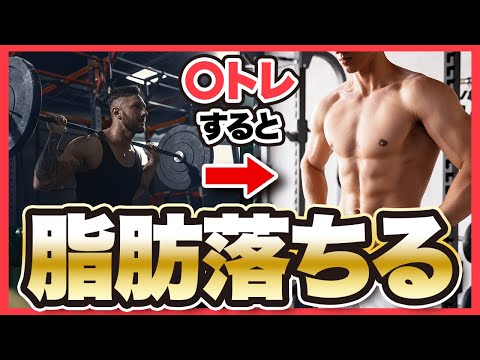 【筋トレ】早く痩せたければ「○トレ」一択