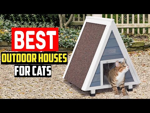 ✅Top 5 Best Outdoor Houses for Cats in 2025