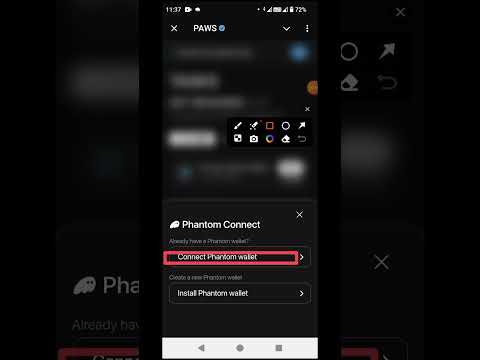 Connect phantom wallet with paws wallet, Paws phantom wallet connect, paws airdrop, paws