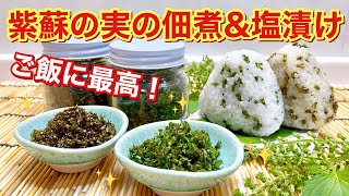 紫蘇の実（大葉の実）の佃煮＆塩漬けの作り方♪ご飯お代わり間違いなし！使い方色々！保存可能！