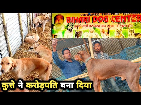 कुत्ता पालन में कितनी कमाई? | Dog breeding business | dog farming