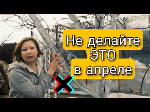 ЧЕГО НЕ НУЖНО ДЕЛАТЬ В АПРЕЛЕ В САДУ И ОГОРОДЕ | Светлана Самойлова