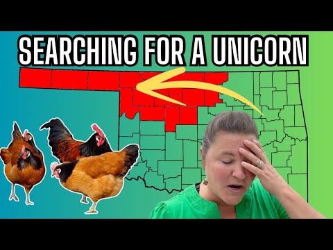 So Disappointed! Thats How It Goes In Farming or Any Business! Farm Life Vlog