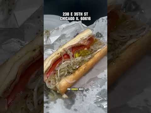 The Best Hoagie & Panini in Chicago?! Bronzeville Hoagie & Panini on the South Side