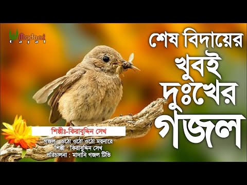 ওঠো ওঠো ওঠো ময়না রে | এমন মরমী গজল শুনলে চোখের পানি ঝরে পড়বে | Otho Otho Otho Moina | Kirabuddin