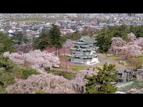 ２０２０　世界でいちばん美しい桜　～弘前公園　Ｐａｒｔ１～