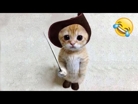 Funniest Animals 2023 - Funny Cats and Dogs - Funny Animal Videos #23