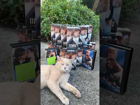 Even cats love Titanic on VHS