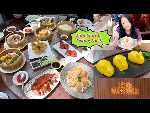 Eating Dim Sum I Peking Duck Blossom Restaurant At Marina Bay Sands