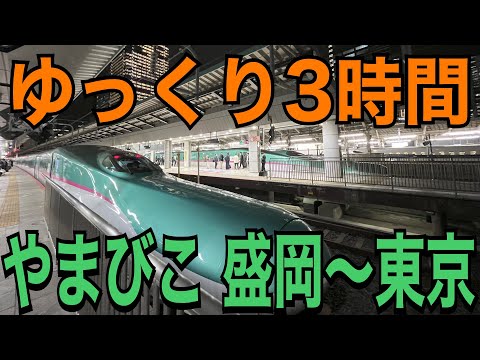 【東北新幹線】盛岡〜東京をやまびこで移動してみた！