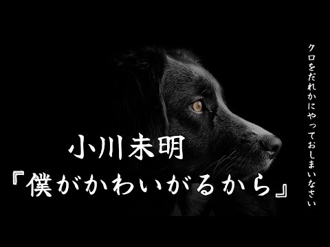 【朗読】『僕がかわいがるから』小川未明【睡眠導入、読み聞かせ】