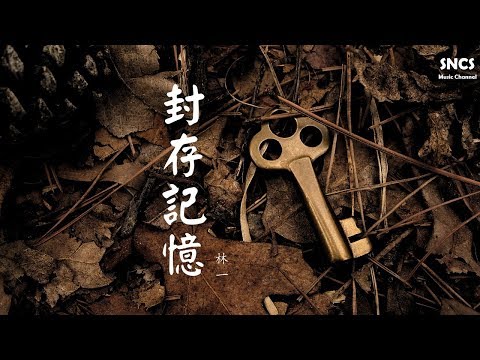 林一 - 封存記憶 | 高音質動態歌詞