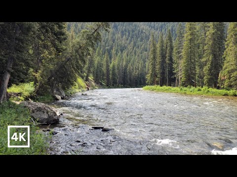 Mountain River Meditation - Peaceful Sounds of a Flowing Mountain River in 4k UHD - White Noise