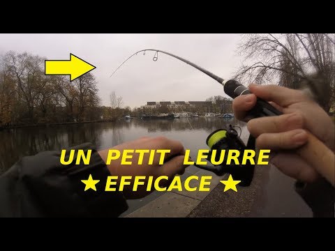 petite session brochet au keteich fat swing