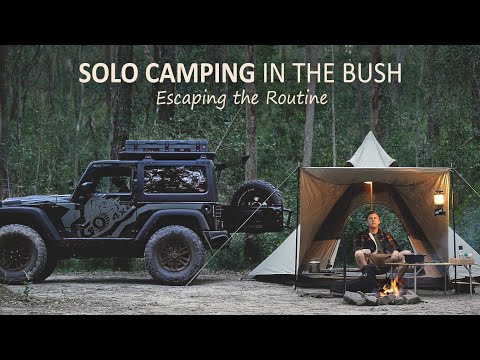 SOLO Bush Camping in Australia [ Relaxing, Campfire cooking, Car: Jeep Wrangler ] SoC 17