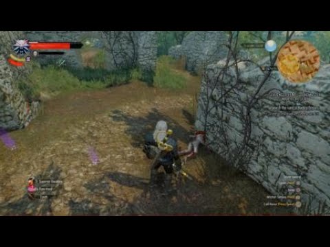 The Witcher 3 - Bruxa Jump Scare