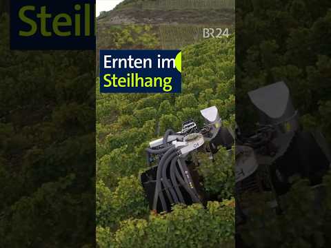 Ernten im Steilhang  #unserland #modernelandwirtschaft #shorts