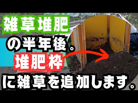 【雑草堆肥】の半年後です😁【堆肥】になってきました‼️