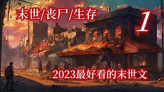 【末日丧尸1】2023年最好看的末世文，血红的天空，灼烧的卷曲，焦黄的路面，是谁在追我？