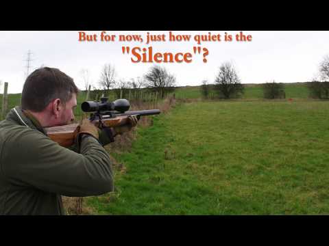 Sauer 404 Silence in 308