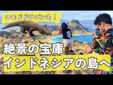 【海外旅行vlog】フローレス島1人旅🦖コモドドラゴンも