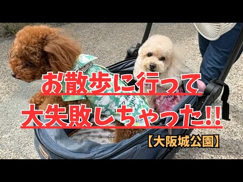 散歩に行って大失敗しちゃった!!【大阪城公園】