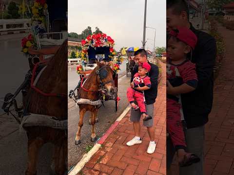 Horse eats child. #shorts #subscribe #share #viral #shortsyoutube #baby