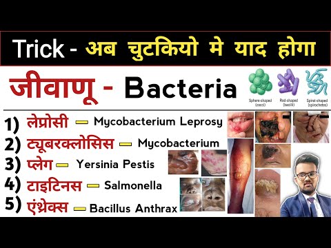 जीवाणू | Bacteria | Bacterial Infections | Infection | Types of Infection | Antibiotics | Treatment