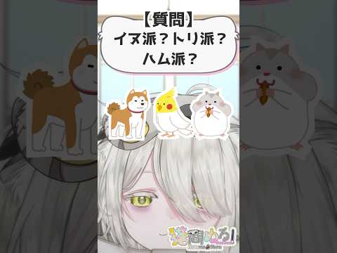 【#質問コーナー 】イヌ派？トリ派？ハム派？【猫間ぬる/ #新人vtuber 】