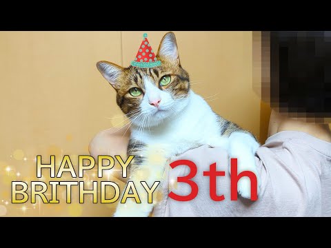 バロン３歳のお誕生日会をしたら秒で終わってしまいました