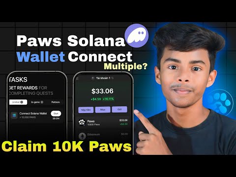 Paws Solana Wallet Connect Multiple | Multiple Wallet Connect | #techboyasik