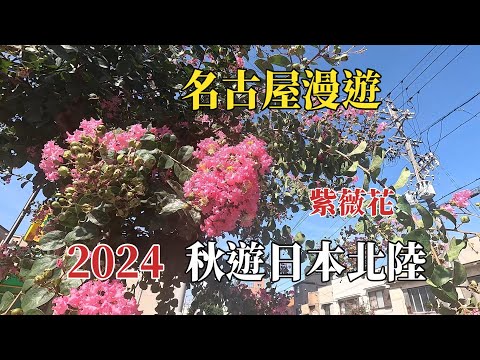 2024秋遊日本北陸｜名古屋漫遊｜紫薇花 @ H.Y.