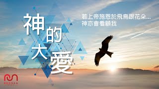 【粵語原創詩歌】神的大愛 | RedSea Music | 若上帝施恩於飛鳥跟花朵，神亦會看顧我。