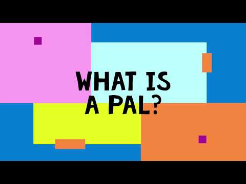 What is a Pal? - Grade 1 - Journeys (HOUGHTON MIFFLIN HARCOURT) -The Stepping Stone Kids