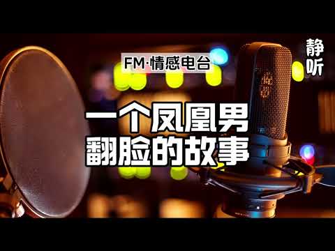 FM情感电台10《一个凤凰男翻脸的故事》生活感悟｜听书｜人生故事#讲述人生的故事# #情感故事大赏析# #情感成长分享#