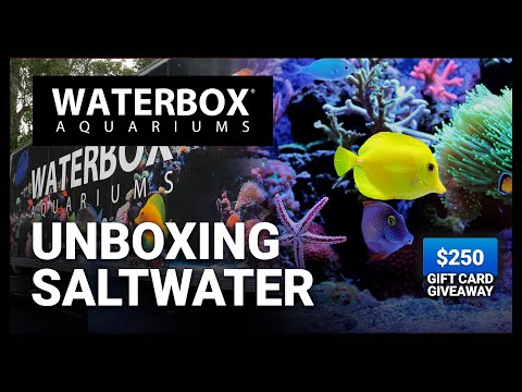 Unboxing the MARINE X 110.4 Saltwater Aquariums - Episode 172