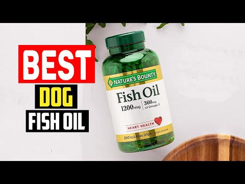 ✅Top 5 Best Fish Oil Supplements for Dogs 2023