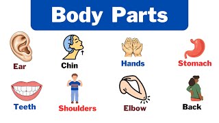 Body Parts in English | Daily English | #bodypart #bodypartsnameforkids