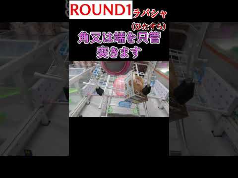 【クレーンゲーム】ROUND1のラバー設定ってどうやるん？3 簡単攻略#Shorts