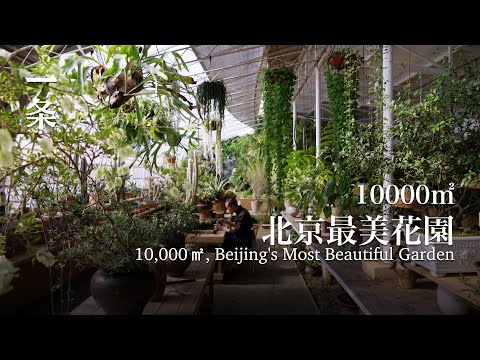 40歲裸辭，他到京郊造10000㎡花園 At 40, he quit his job and built a 10,000㎡ garden in the suburbs of Beijing