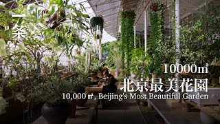 40歲裸辭，他到京郊造10000㎡花園 At 40, he quit his job and built a 10,000㎡ garden in the suburbs of Beijing