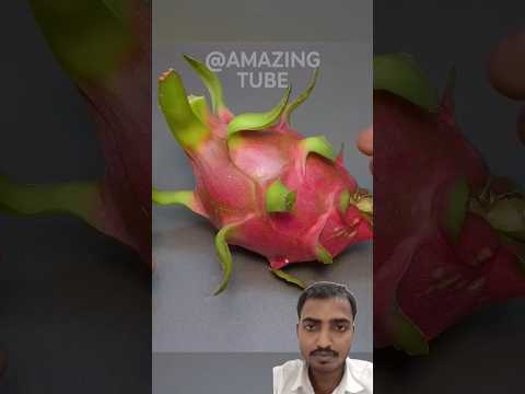 Growing Dragon fruit seeds 🥝🍉 #shorts #timelapse #amazing #diy #dragonfruit #garden #plant #craft