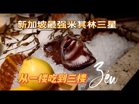 Vlog探店｜Zén｜新加坡最强最贵米其林三星｜The Most Expensive Michelin 3-star in Singapore