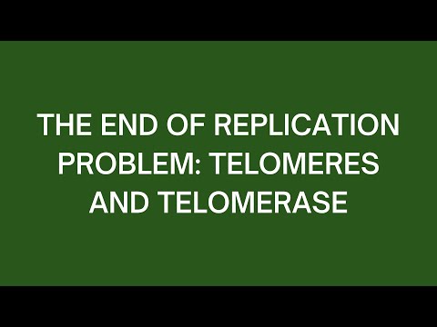 The End of Replication Problem: Telomeres and Telomerase