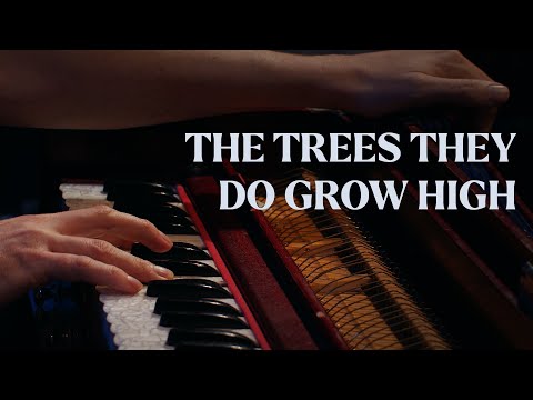 The Trees They Do Grow High | The Longest Johns